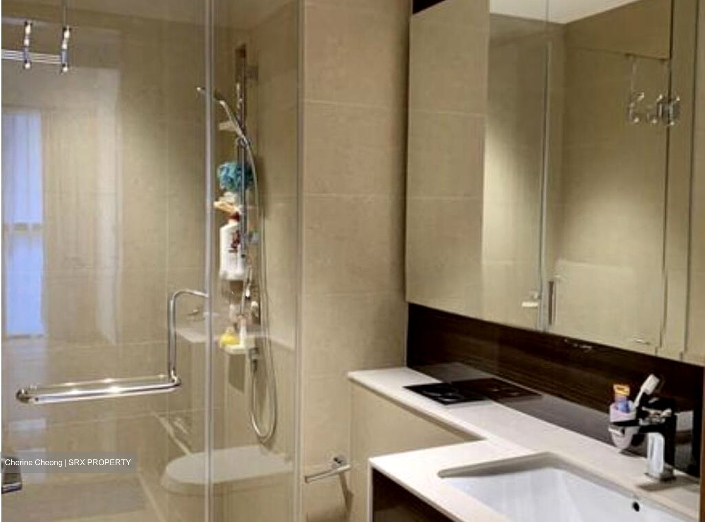 Commonwealth Towers (D3), Condominium #513505141